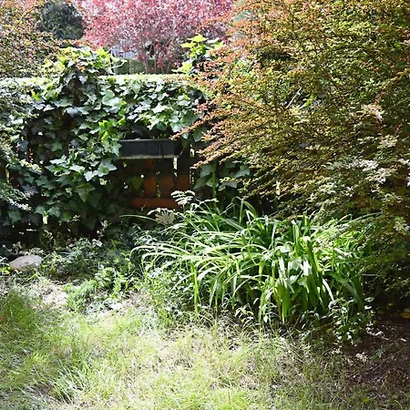 Apartmán Ilka Garden *