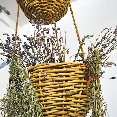 Ilka Garden בודפשט