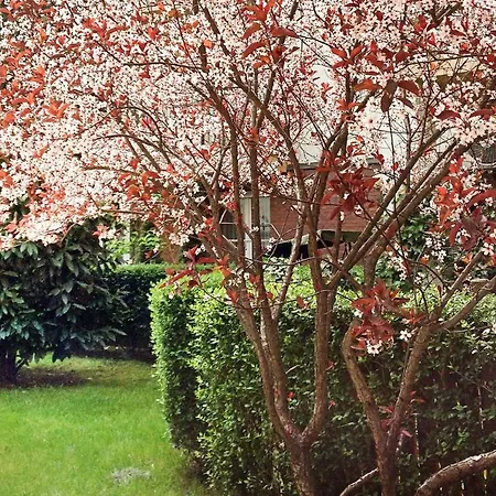 公寓 Ilka Garden 布达佩斯